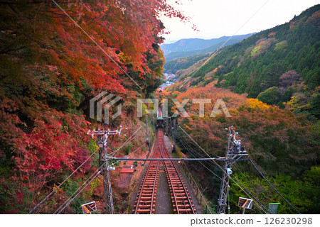 從神奈川縣伊勢原市關東大山朝聖地大山寺站看到的纜車在秋葉中行駛的圖像（4） 126230298