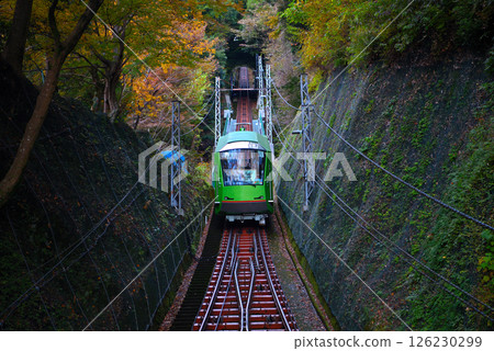 關東山遍野，從神奈川縣伊勢原市大山路站看到的纜車在秋葉中穿梭的圖像（5） 126230299