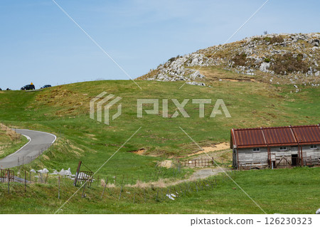 四國喀斯特、高知縣、愛媛縣 126230323