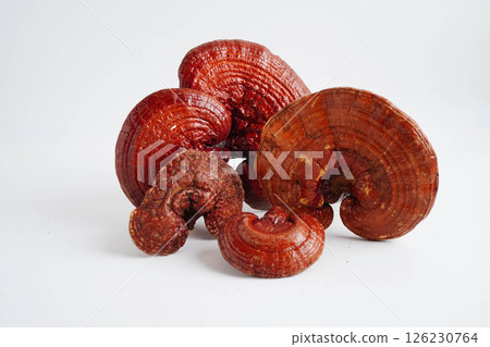 Lingzhi or Reishi mushroom with capsules, organic natural healthy food. 126230764