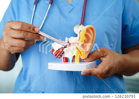 Asian doctor holding human ear model to learn and treat hearing loss in patient. Asian doctor holding human ear model to learn and treat hearing loss in patient. 126230791