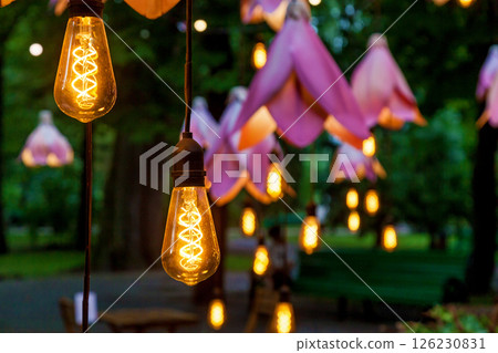 Glowing vintage bulbs and flower lights in evening park Glowing vintage bulbs and flower lights in evening park 126230831