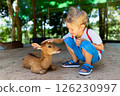 Portrait of little caucasian child feeding and petting deer fawn at outdoor park background. 126230997