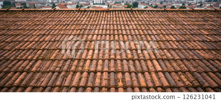 Wide view of red clay tile roof 126231041