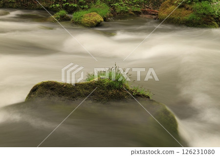 Oirase流 126231080