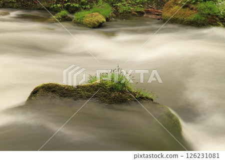 Oirase stream 126231081