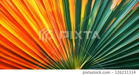 Colorful palm leaf texture with radial symmetry Colorful palm leaf texture with radial symmetry 126231314