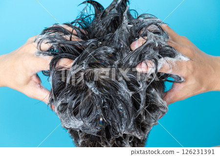 Middle-aged man shampooing Middle-aged man shampooing 126231391