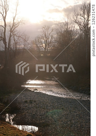 Stream of water flows through a forest 126231478