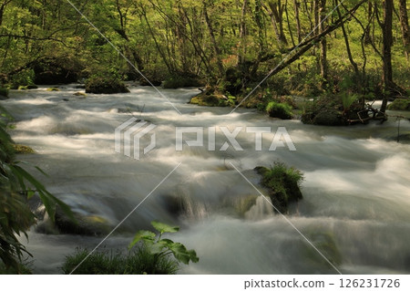 Oirase stream 126231726