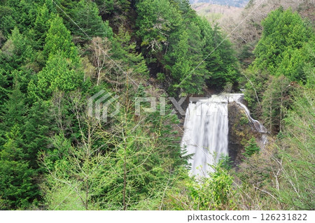 Spring in Norikura Plateau: Zengoro Falls surrounded by fresh greenery Spring in Norikura Plateau: Zengoro Falls surrounded by fresh greenery 126231822