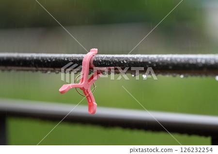 雨中的晾衣夾和晾衣桿 雨中的晾衣夾和晾衣桿 126232254