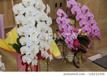 Flowers for hospital opening celebration Flowers for hospital opening celebration 126232309