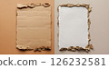 Torn cardboard and paper sheets on neutral backgrounds 126232581