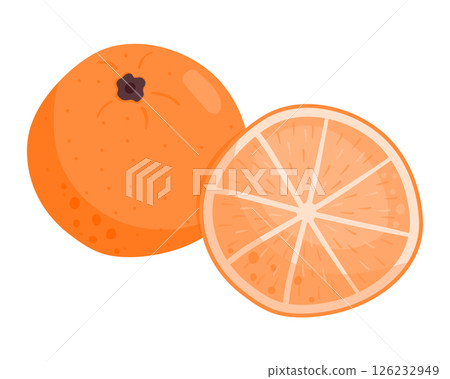 Ripe juicy orange. A whole fruit and half a piece. Citrus fruits. Vector illustration is isolated on a white background. 126232949
