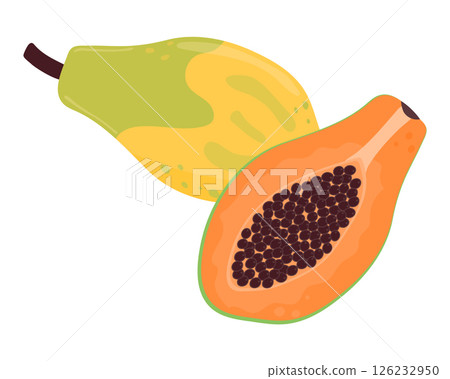 Ripe papaya fruit whole and sliced. The vector illustration is isolated on a white background. 126232950