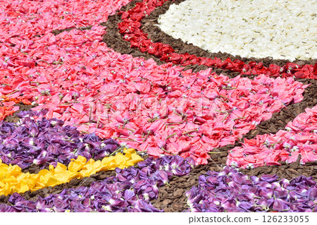 Infiorata Kobe Infiorata Kobe 126233055