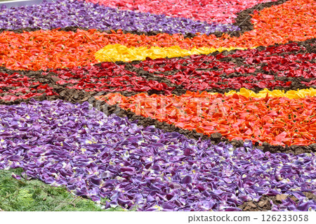 Infiorata Kobe 126233058