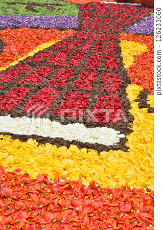 Infiorata Kobe 126233060