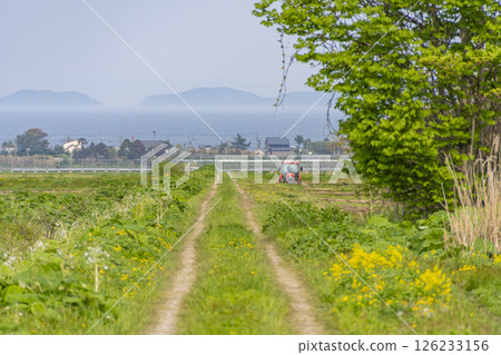 春天的鄉村風光：一條農路，可欣賞大海和一輛拖拉機 126233156