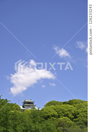Fresh greenery on Mount Komaki and the replica castle tower of Komakiyama Castle / South side (Komaki City, Aichi Prefecture) 126233243