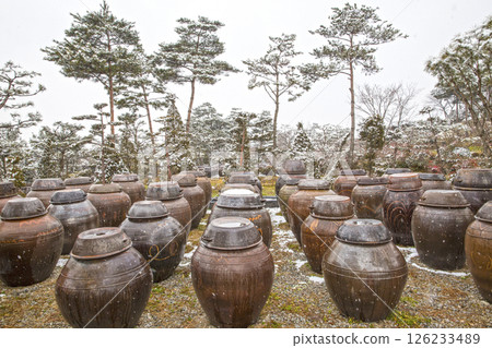 Display of traditional Korean soy sauce jars Display of traditional Korean soy sauce jars 126233489