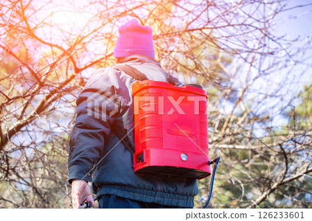 A retired man treats trees and bushes with an electric sprayer against pests and diseases in the spring, background 126233601