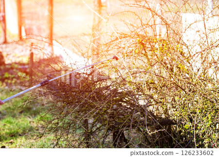 Sprayer rod against the background of bushes and trees with swollen buds. Treatment of bushes in spring from pests and diseases. Copy space for text 126233602