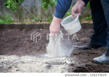 A man deacidifies the soil with dolomite flour and fertilizer in the garden in autumn. Increasing crop yields, copy space for text, summer resident 126233629
