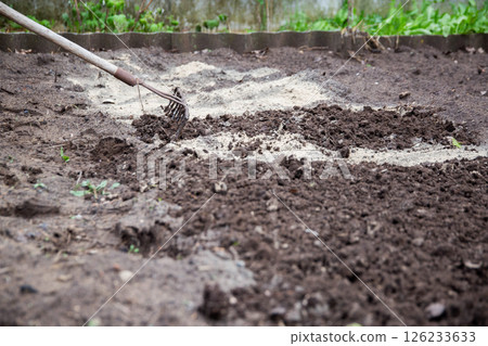 Loosening the soil with a rake and deoxidizing the soil with dolomite flour in the garden in spring, close-up. Copy space for text, neutralizing soil 126233633