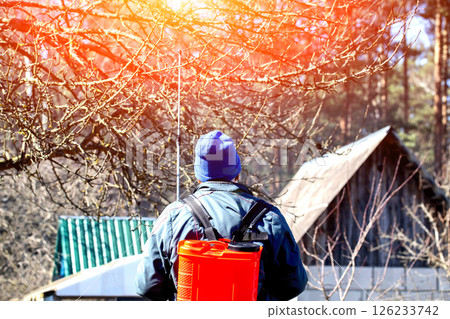 A retired man treats trees and bushes with an electric sprayer against pests and diseases in the spring, background, sunset 126233742