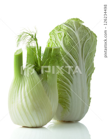 Fresh Chinese cabbage and fennel bulb isolated on a white background. 126234498