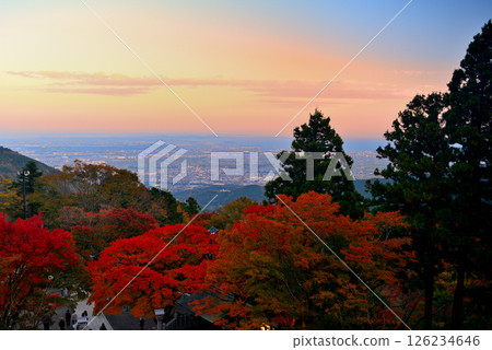 Kanto - Pilgrimage to Mt. Oyama to see autumn leaves - Mt. Oyama Afuri Shrine, Sagami Bay seen from the lower shrine, and the evening view towards Enoshima - Isehara City, Kanagawa Prefecture (6) 126234646