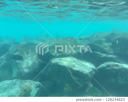 馬爾地夫度假區的水下 126234825