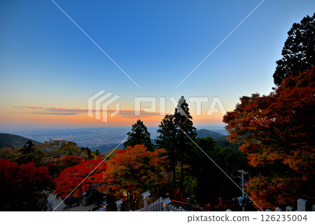 關東 - 前往大山賞楓 - 大山阿夫利神社、從下社眺望相模灣、以及江之島的夜景 - 神奈川縣伊勢原市（8） 126235004