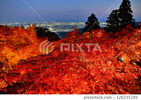 關東：前往大山觀賞秋葉；大山阿夫利神社下宮的秋葉點燈以及江之島的夜景；神奈川縣伊勢原市 (2) 126235289