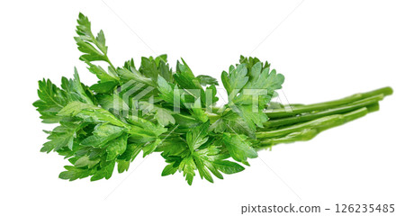 bunch of fresh green parsley leaf isolated on white background 126235485