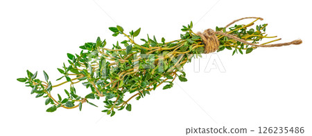 Bunch of thyme tied with twine, Thyme spice isolated on white background 126235486