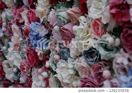 浮在水面上的花 126235636