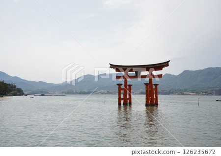 Torii that floats in the sea 126235672