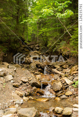 Mountain stream surrounded by lush greenery with scattered rocks in a tranquil forest setting during daylight hours Mountain stream surrounded by lush greenery with scattered rocks in a tranquil forest setting during daylight hours 126235791