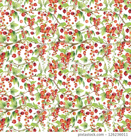 Currant gooseberry with long flower clusters, green leaves hand drawn in watercolor, garden berry hanging on branches. Isolated seamless pattern. Craft drinks, grocery, background wallpaper, packaging Currant gooseberry with long flower clusters, green leaves hand drawn in watercolor, garden berry hanging on branches. Isolated seamless pattern. Craft drinks, grocery, background wallpaper, packaging 126236011