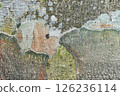 Lichen growing on beech bark 126236114