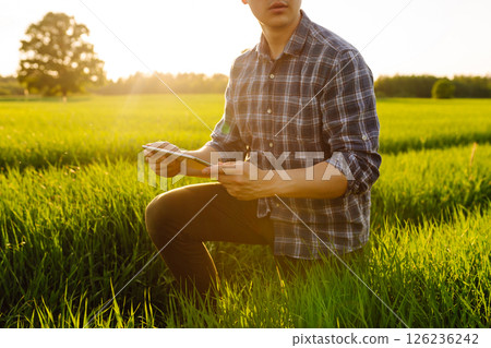 Close-up of the hands of farmer with digital tablet, checking quality of wheat growth in green field 126236242