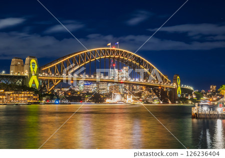 雪梨海港大橋夜間亮燈 126236404