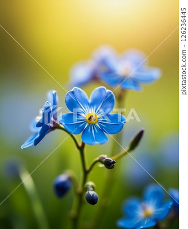 Delicate blue flowers stretch towards the golden sunlight, their vibrant petals glistening with dew. Nature awakens as spring unfolds, creating a peaceful atmosphere among the greenery Generative AI 126236445