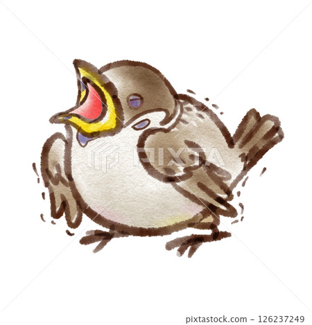 A sparrow chick opening its mouth diagonally upwards (ink pen watercolor style) 126237249
