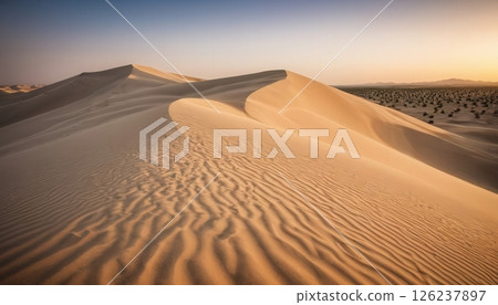 View of rolling sand dunes at sunset in a vast desert landscape with gentle waves and shadows contrasting the golden hues of the sand View of rolling sand dunes at sunset in a vast desert landscape with gentle waves and shadows contrasting the golden hues of the sand 126237897
