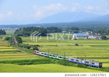 Echigo Tokimeki Railway local train running through rice terraces in autumn 126237921