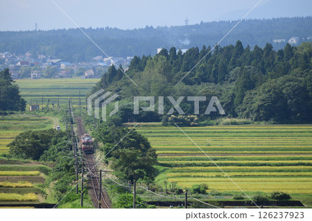 Echigo Tokimeki Railway's JNR-type tourist train runs along the slopes of autumn rice terraces 126237923